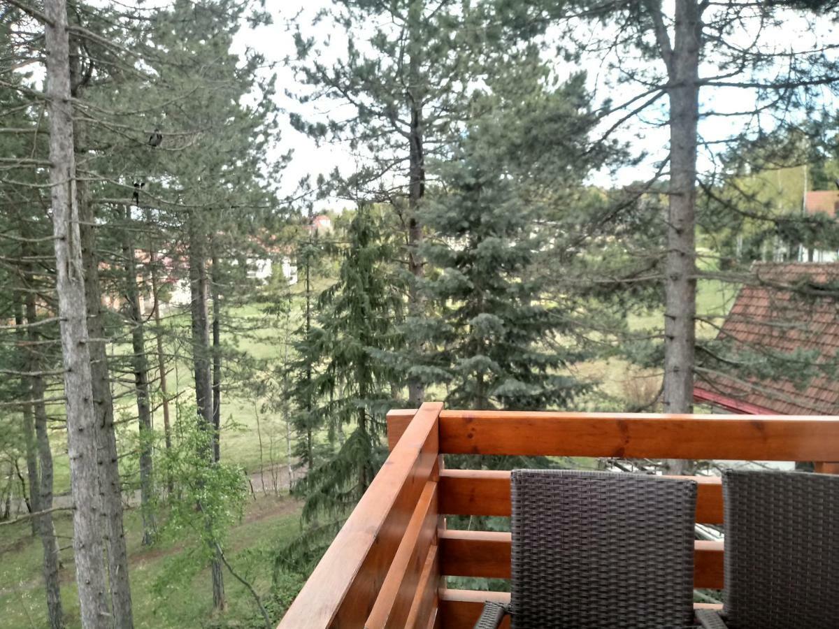 Apartman Nana Svetogorska 19 ,Stan 17 兹拉蒂博尔 外观 照片