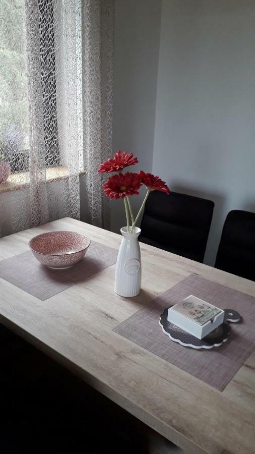 Apartman Nana Svetogorska 19 ,Stan 17 兹拉蒂博尔 外观 照片