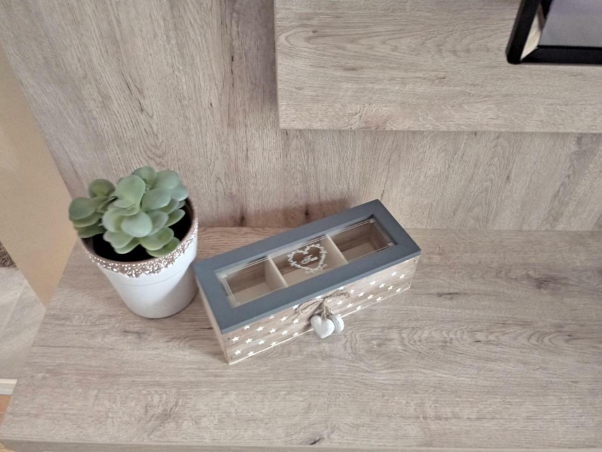 Apartman Nana Svetogorska 19 ,Stan 17 兹拉蒂博尔 外观 照片
