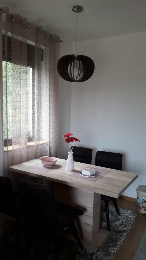 Apartman Nana Svetogorska 19 ,Stan 17 兹拉蒂博尔 外观 照片