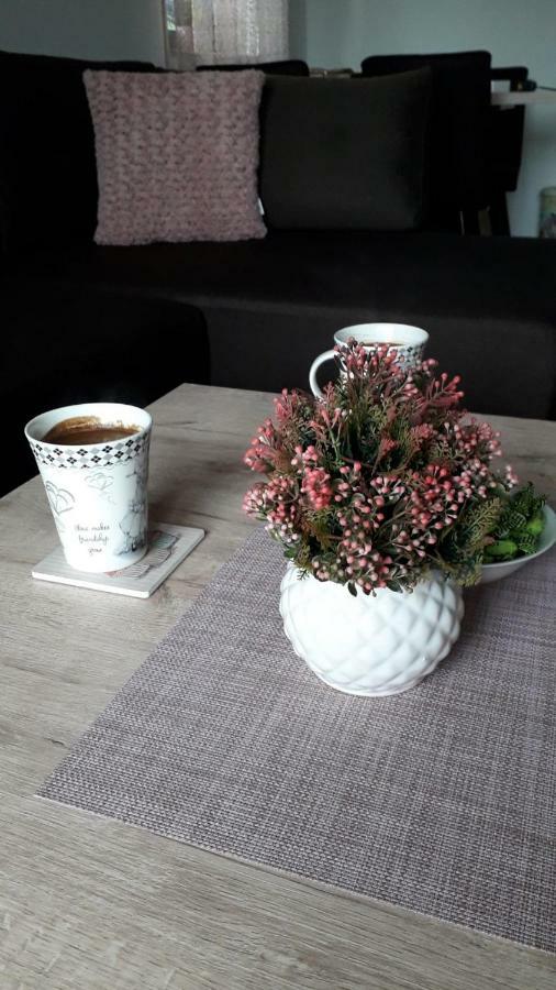 Apartman Nana Svetogorska 19 ,Stan 17 兹拉蒂博尔 外观 照片