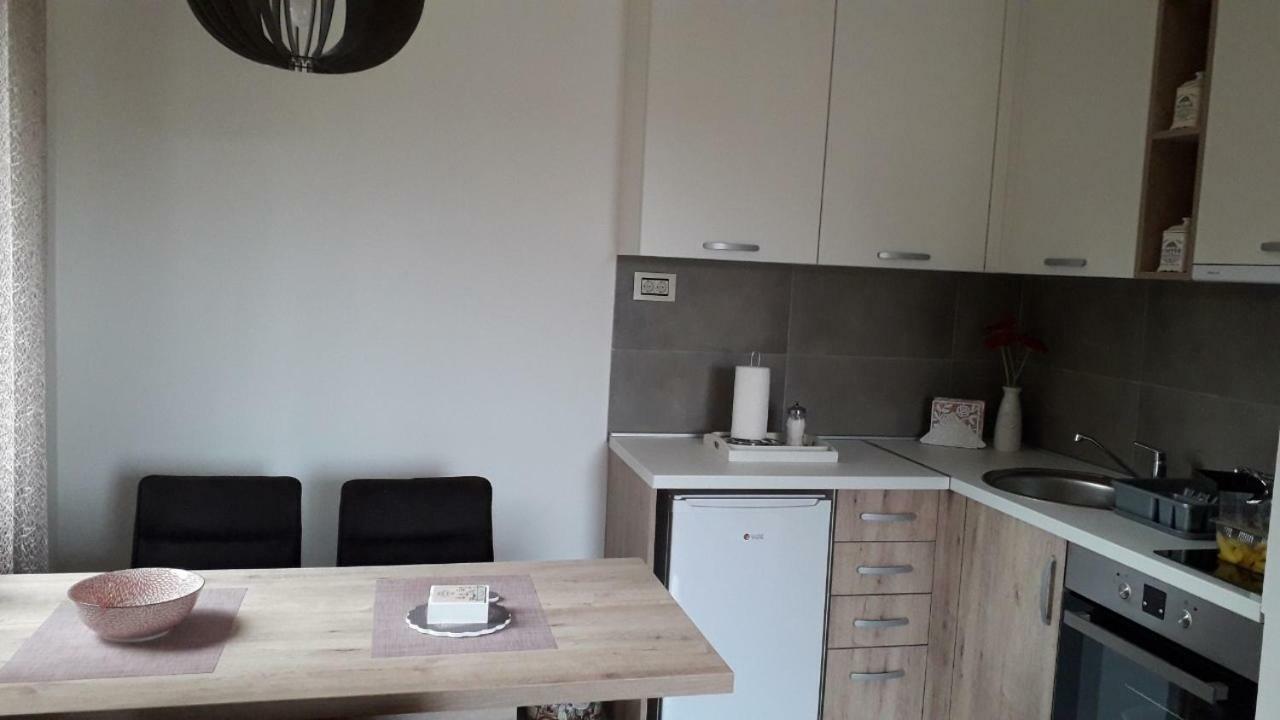 Apartman Nana Svetogorska 19 ,Stan 17 兹拉蒂博尔 外观 照片