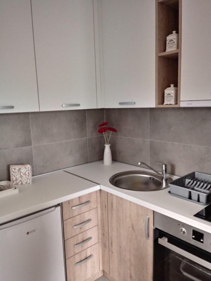 Apartman Nana Svetogorska 19 ,Stan 17 兹拉蒂博尔 外观 照片