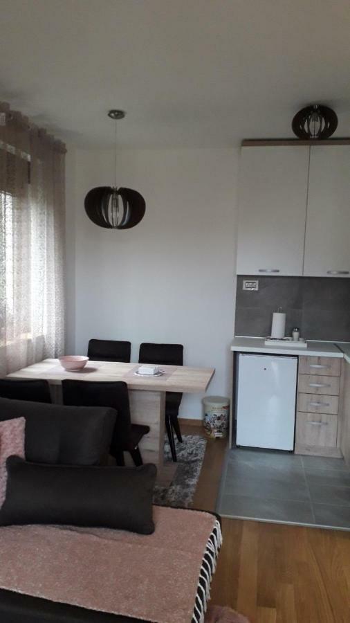 Apartman Nana Svetogorska 19 ,Stan 17 兹拉蒂博尔 外观 照片