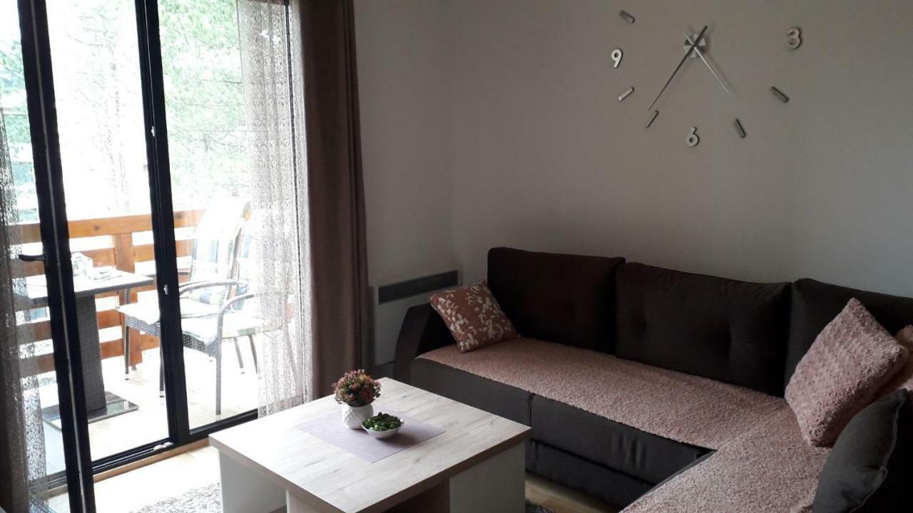 Apartman Nana Svetogorska 19 ,Stan 17 兹拉蒂博尔 外观 照片