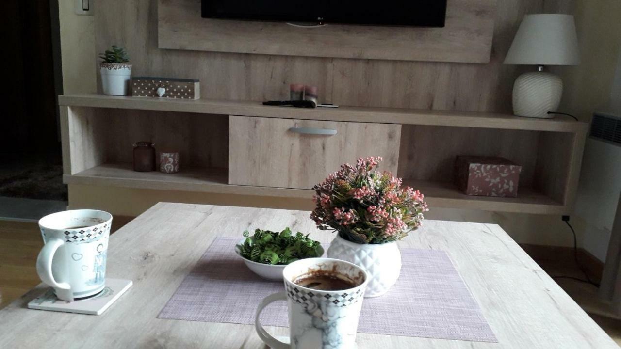Apartman Nana Svetogorska 19 ,Stan 17 兹拉蒂博尔 外观 照片