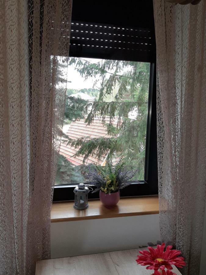 Apartman Nana Svetogorska 19 ,Stan 17 兹拉蒂博尔 外观 照片
